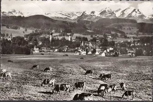 Isny im Allgäu, Blick auf Säntis, gelaufen 1962