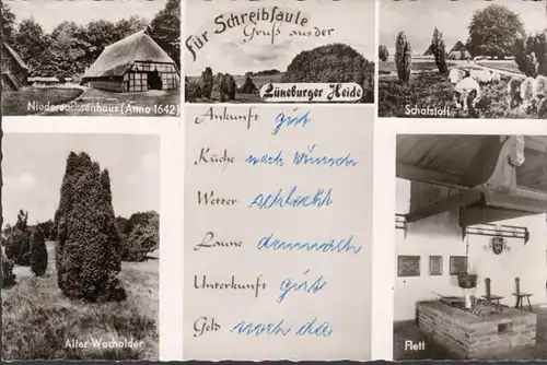 Lüneburger Heide, Niedersachsenhaus, Schafstall, Wacholder, Flett, gelaufen 1966