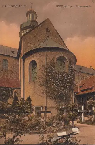 Hildesheim, 1000 jähriger Rosenstock, ungelaufen