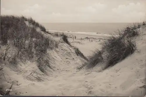 Fèves, niéblum, dunes et mers, non courbés