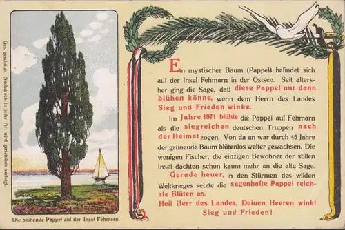 Fehmarn, Die blühende Pappel, Feldpost, gelaufen 1917
