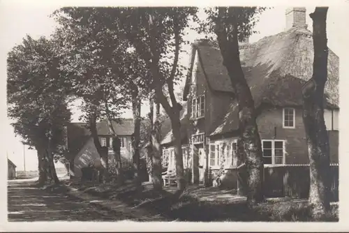 Fuseau, Nieblum, vue sur la route, incurvée