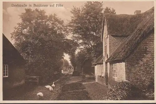 Föhr, Boldixum, Dorfstraße, ungelaufen- datiert 1925