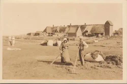 Föhr, Gehöft, Heuernte, ungelaufen