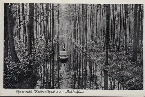 Spreewald Hochwaldpartie am Mühlenfliess, ungelaufen