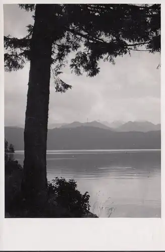 Urfeld am Walchensee, Ernst Enzensperger Auberge de Jeunesse, couru en 1951