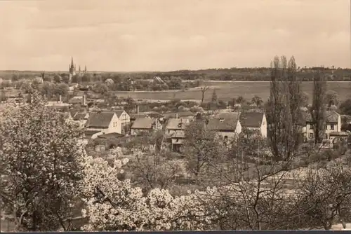 Werder Havel, Südspitze der Insel, ungelaufen