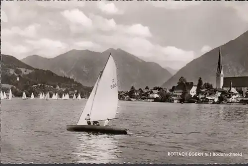 Des chevaux à rottach avec une coupe au sol, couru