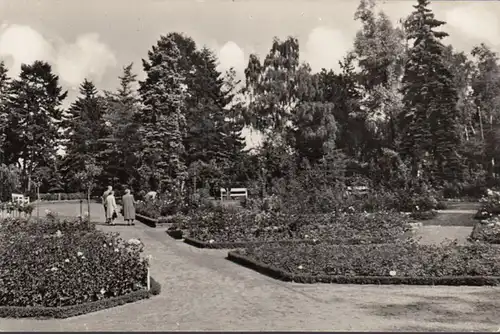 Sangerhausen, Rosarium, ungelaufen