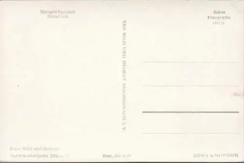 Sangerhausen, Rosarium, ungelaufen