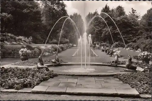 Remscheid, Staudengarten, ungelaufen