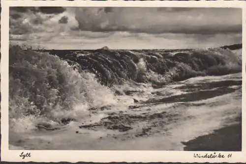 Sylt, Windstärke 11, ungelaufen