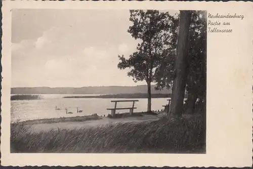 Neubrandenburg, Partie am Tollensesee, ungelaufen