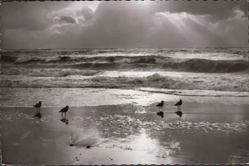 Sylt, Abend am Strand, gelaufen 1959