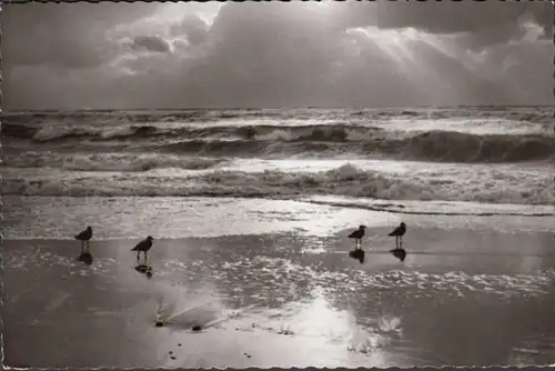 Sylt, soirée à la plage, couru en 1959