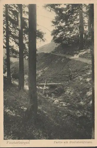 Finsterbergen, Partie am Steitzbergfelsen, gelaufen 1922