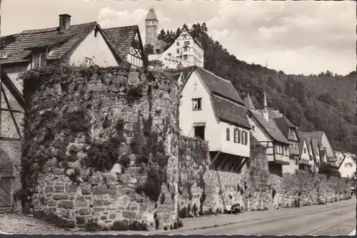 Hirschhorn, Burg Hirschhorn, gelaufen 1966