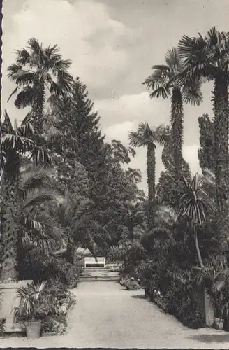 Bad Pyrmont, Kurpark, gelaufen 1967