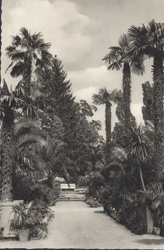 Bad Pyrmont, parc thermal, couru en 1967