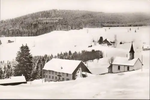 Titisee, auberge et pension de retraite fontaine de Sainte-Fond, inachevé