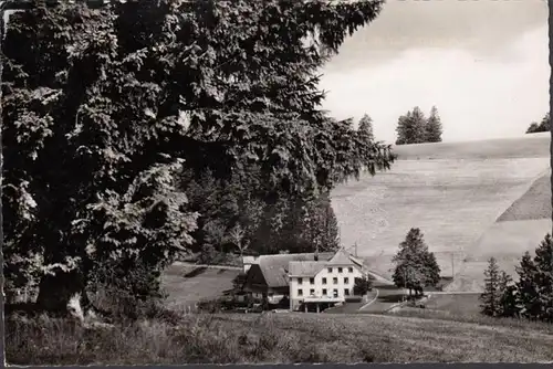 Neuhäusle, Gasthaus und Metzgerei Zur Sonne, gelaufen 1966