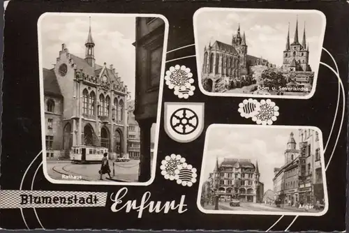 Erfurt, Dom, Rathaus, Anger, gelaufen 1965