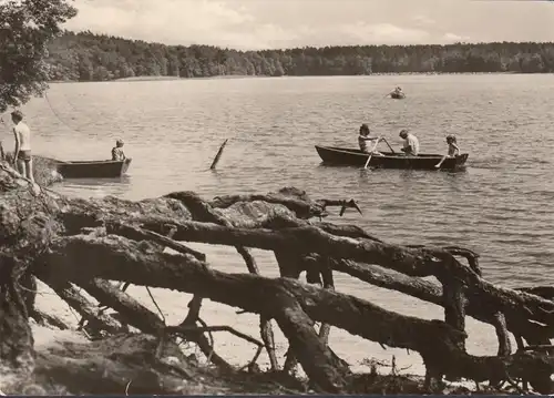 Neuglobsow, Am Stechlinsee, gelaufen 1974