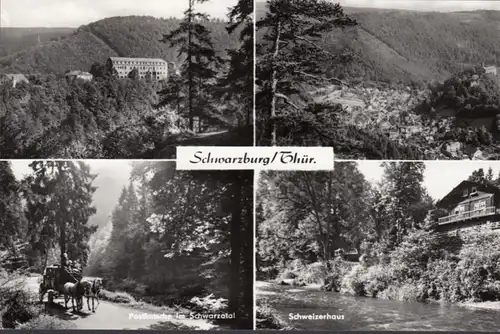 Schwarzburg, Boston, Schweizerhaus, Château, incurable