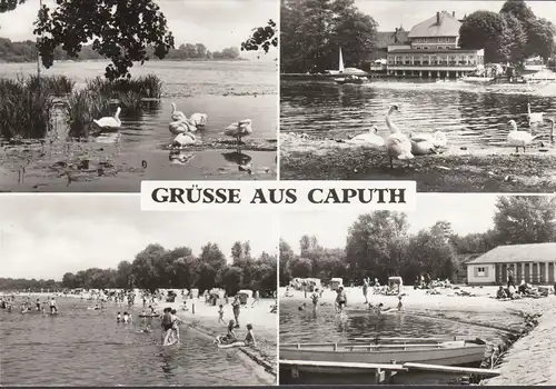 Caputh, lac, cygne, plage, couru 1979