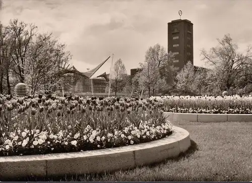 Stuttgart, Bundes Gartenschau 1961, blühende Tulpe am Haupteingang, ungelaufen