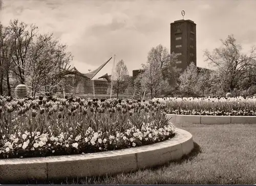 Stuttgart, Bundes Gartenschau 1961, tulipe florissante à l'entrée principale, incurvée