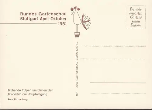 Stuttgart, Bundes Gartenschau 1961, blühende Tulpe am Haupteingang, ungelaufen