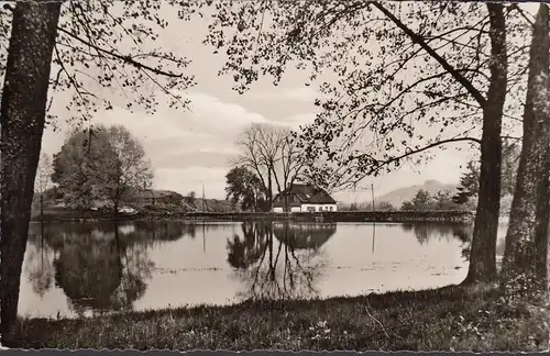 Waldernbach, Seeweiher, Gaststätte See Mühle, gelaufen 1958