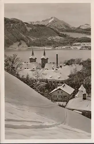 Tegernsee, Schloß mit Kampen im Winter, gelaufen 1953
