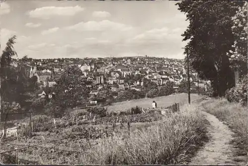 Reichenbach, Panoramaansicht, gelaufen 1970