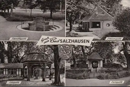 Bad Salzhausen, source de soufre, sources de lithium, Source de sel, couru 1969