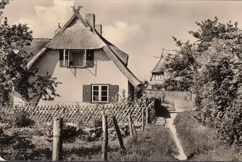 Ahrenshoop, maisons de toits en béton, couru en 1963