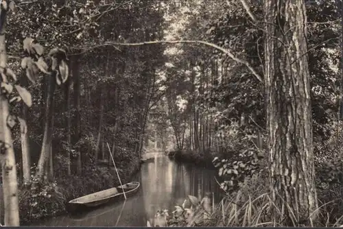 Spreewald, Im Hochwald, ungelaufen