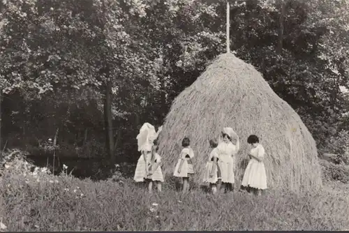 Dans la forêt de Spreewald, We Blotach, couru en 1974