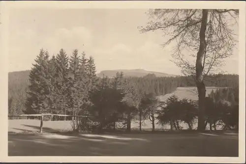 Oberhof, Waldansicht, gelaufen 1956