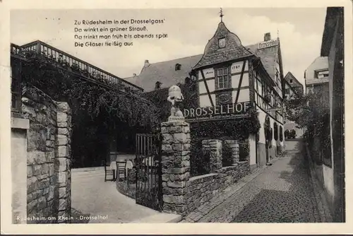 Rüdesheim a. Rhein, Zu Ründeshem in der Gnückgasspflage, couru