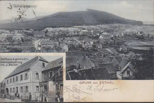 Gruss aus Esthal, Totalansicht, Gasthaus und Warenhandel Bauer, gelaufen 1910