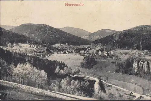 Herrenalb, Stadtansicht, gelaufen 1911