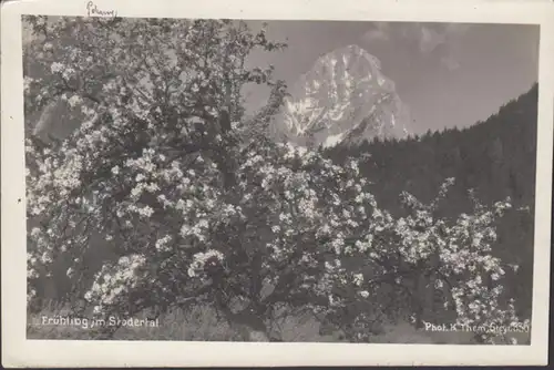 Frühling im Stodertal, gelaufen 1930