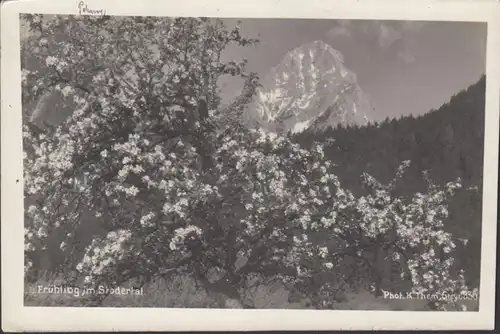 Printemps de la vallée du Stoder, 1930