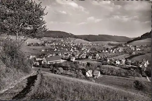 Baiersbronn, Stadtansicht, Schwarzwaldhalle, gelaufen 1956