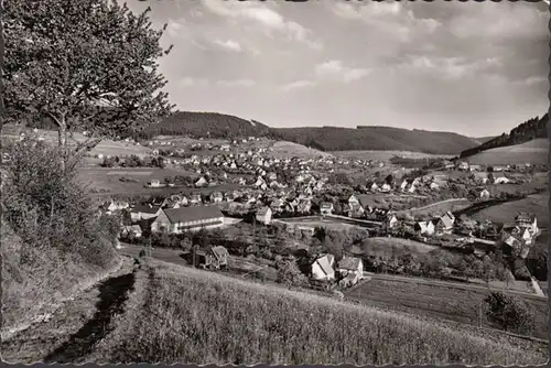 Baiersbronn, vue de la ville, Schwarzwaldhalle, couru 1956