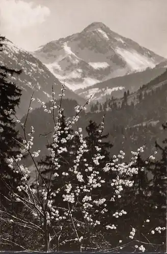 Frühling im Ostrachtal, Palmkätzchen, ungelaufen