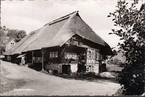 Schwarzwaldhaus, gelaufen 1966