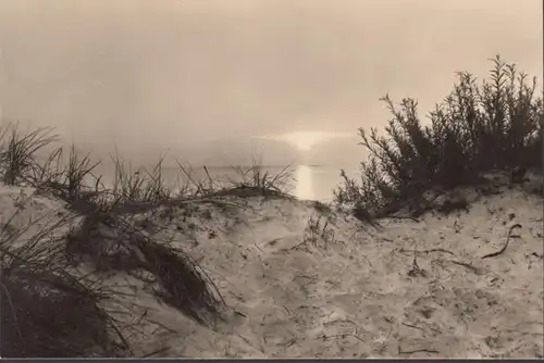 Rügen, dunes sur Bakenberg, inachevées